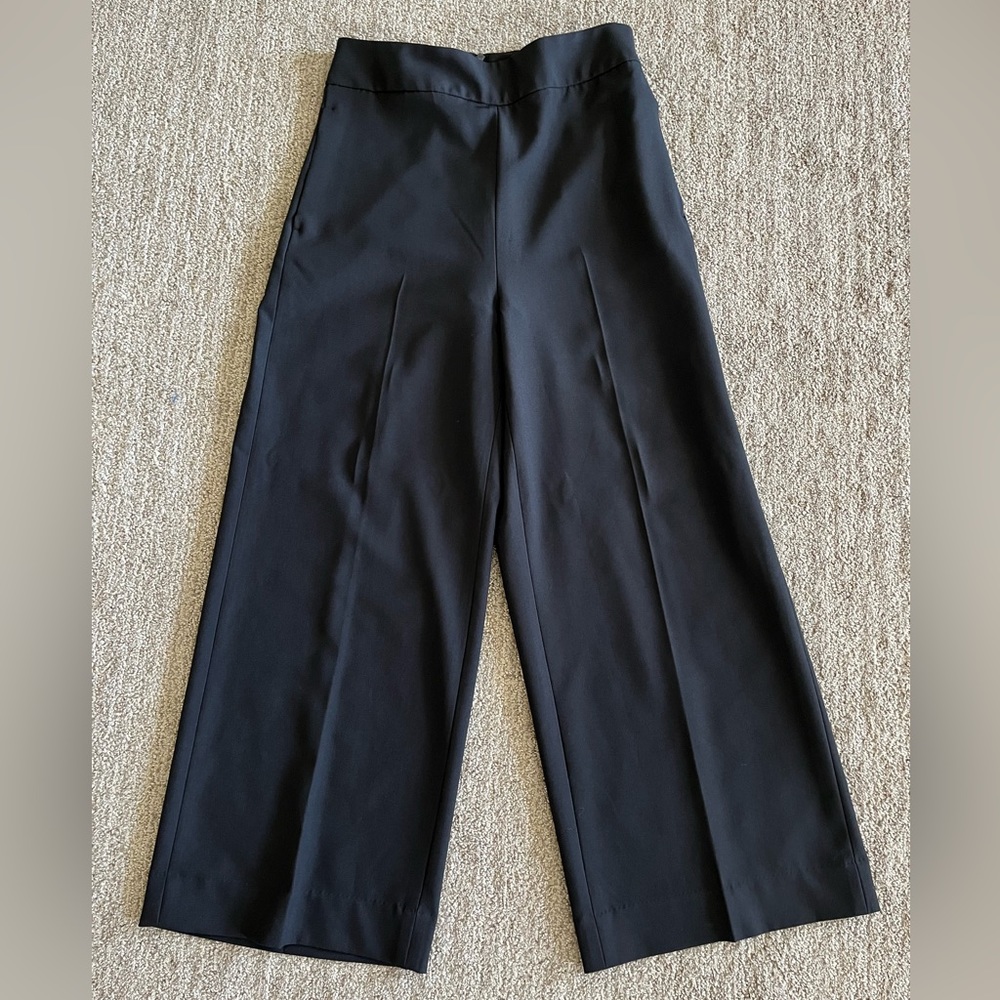 Banana Republic Wide-leg Pants (NWOT)